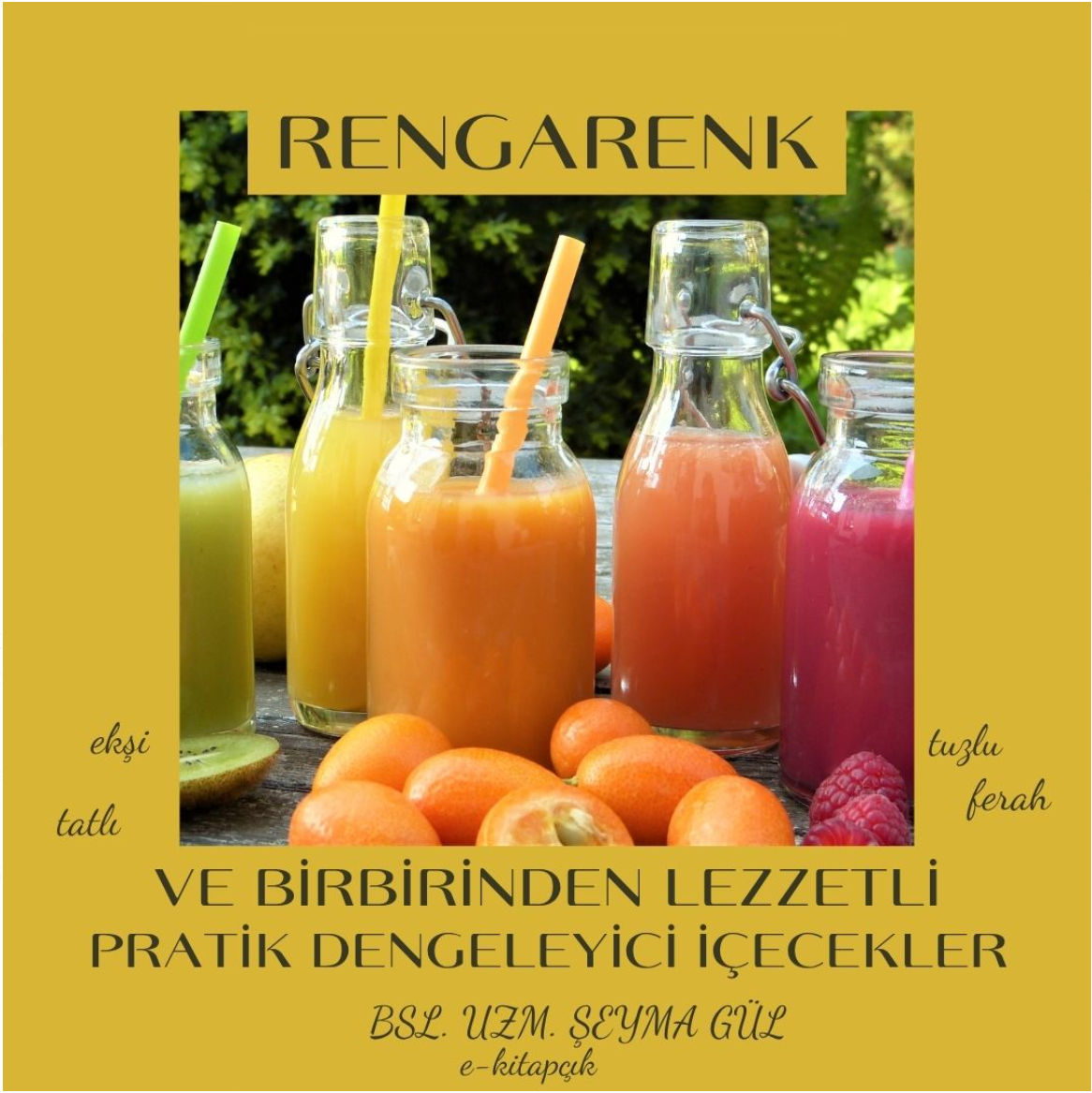 RENGARENK SMOOTHIE E-KİTAP